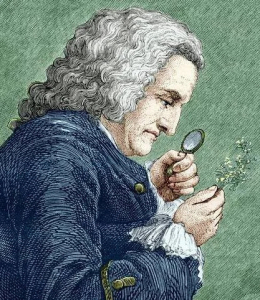 Le botaniste Bernard de Jussieu